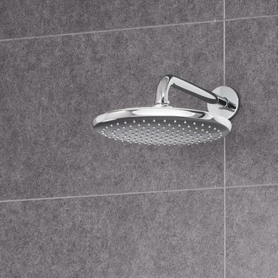 Фото Верхний душ с кронштейном Grohe TEMPESTA 250 (26668000)