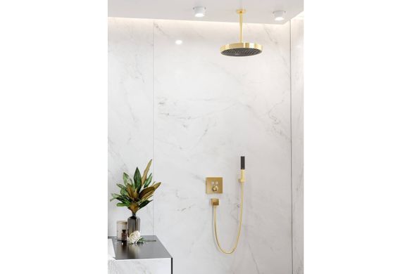 Фото Ручний душ Rainfinity 1jet EcoSmart Polished Gold Optic (26867990)