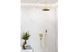 Ручний душ Rainfinity 1jet EcoSmart Polished Gold Optic (26867990) Фото 2 з 3
