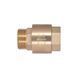 Обратний клапан Thermo Alliance Standart 1"ВН с латунным штоком (TAS248W25)