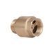 Обратний клапан Thermo Alliance Standart 1"ВН с латунным штоком (TAS248W25)