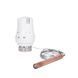 Термоголовка Thermo Alliance Standart М30х1,5 (20-50℃) с выносным датчиком (TAS34150) Фото 1 из 5