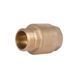 Обратний клапан Thermo Alliance Standart 1"ВН с латунным штоком (TAS248W25)