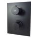 Термостат для душа PAFFONI Light на 2 выхода, черный матовый (LIQ518NO/M) Фото 1 из 2